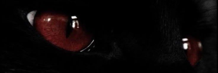 kenokeenz's profile banner image