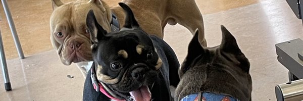 vehiclewrap Profile Banner