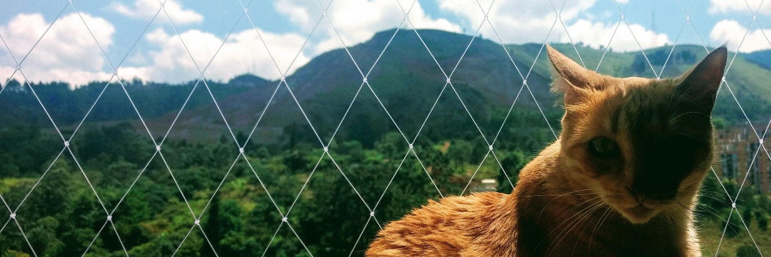 CastroDanielR's profile banner image