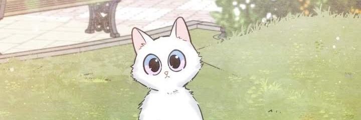 marta_rayo's profile banner image
