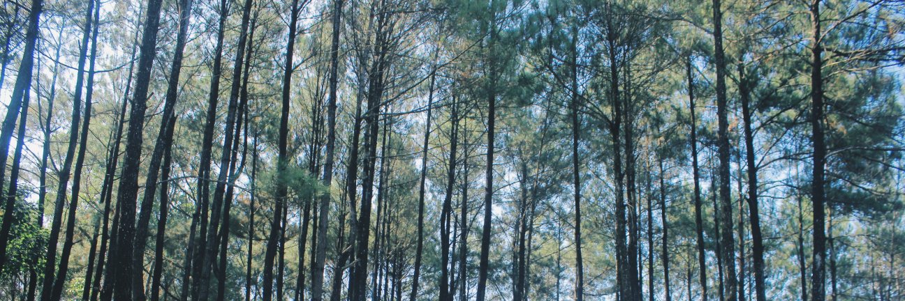 _INVH's profile banner image