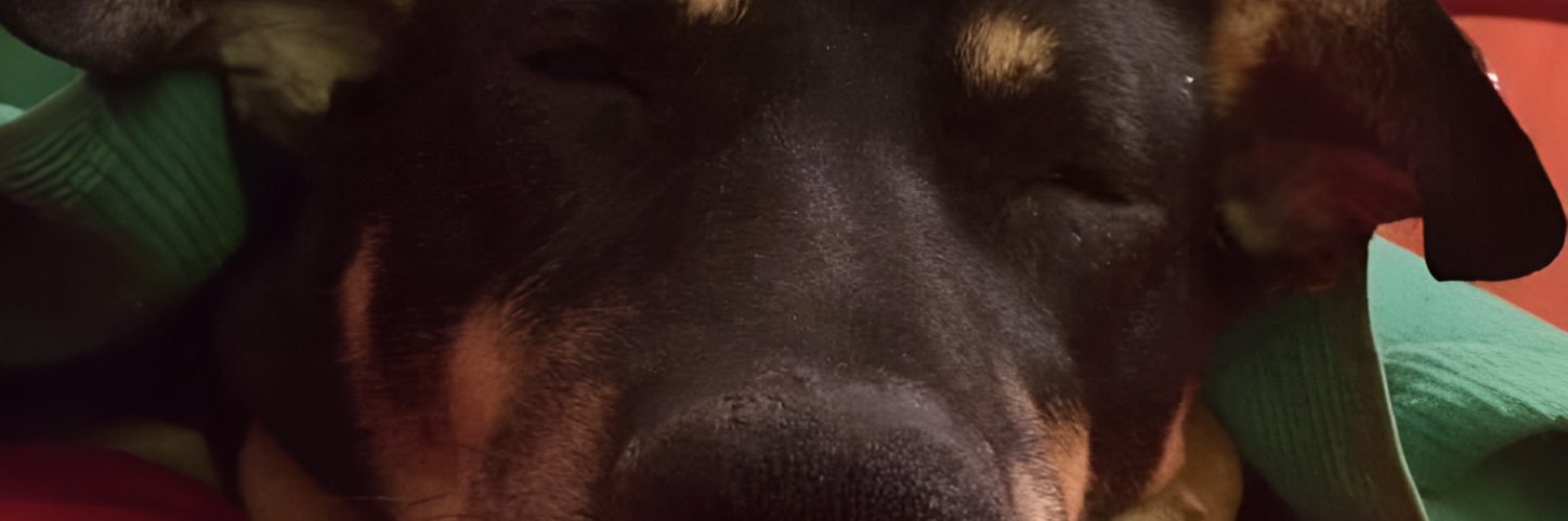 SweetheartTito's profile banner image