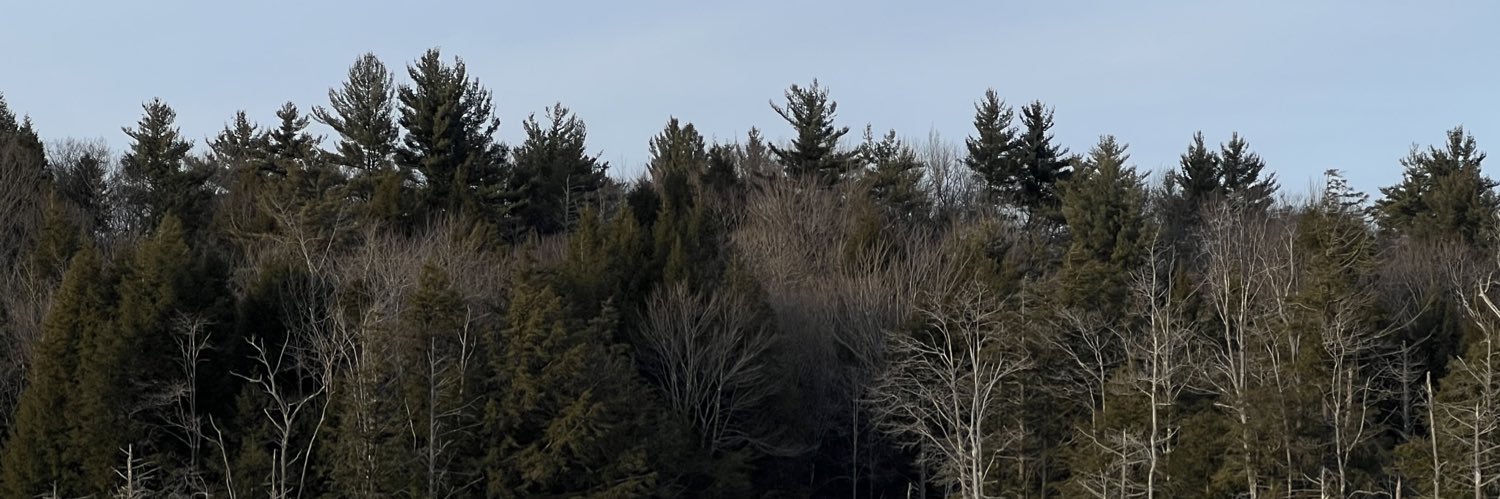 maisylake's profile banner image