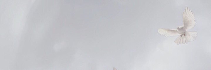 lam6_8's profile banner image