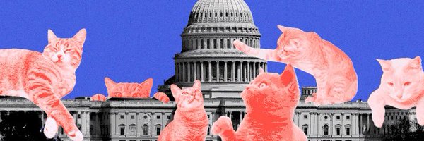 igorbobic Profile Banner