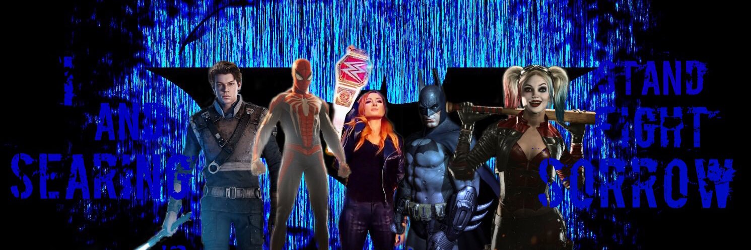 Batman’s Accomplice. banner