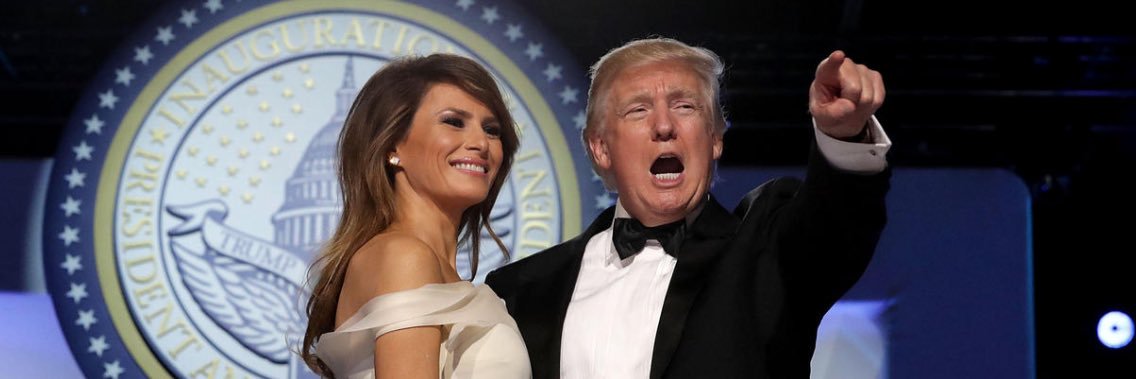 DrSeussCovfefe4Trump banner