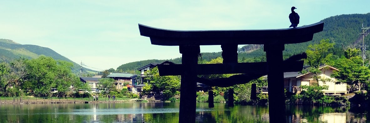 bearbear736's profile banner image