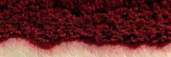 whysosaraa's profile banner image