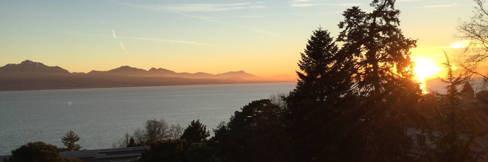 Marcello Tonelli banner