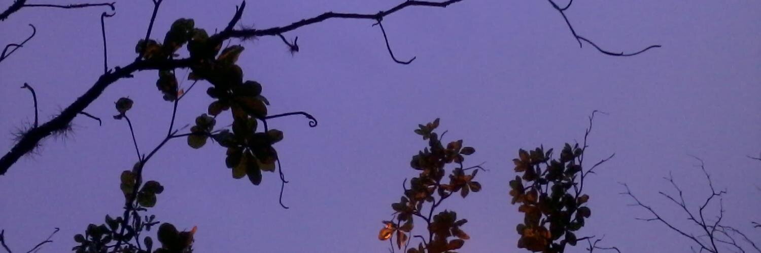 Beatriz Garces banner