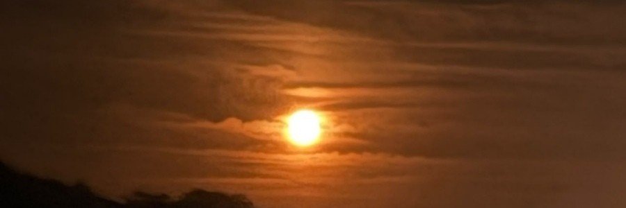 AsosyallAlan's profile banner image