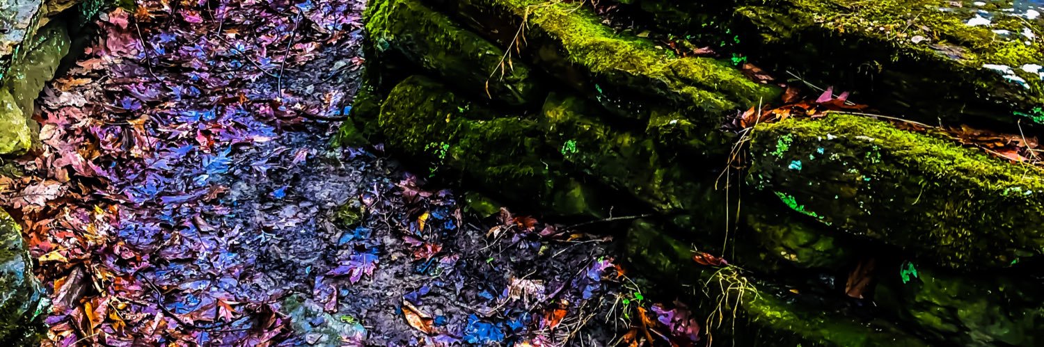 LissaSevimli's profile banner image