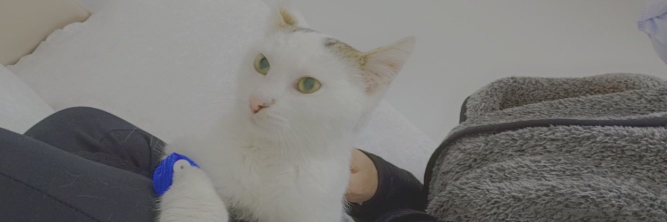 serkanSM's profile banner image