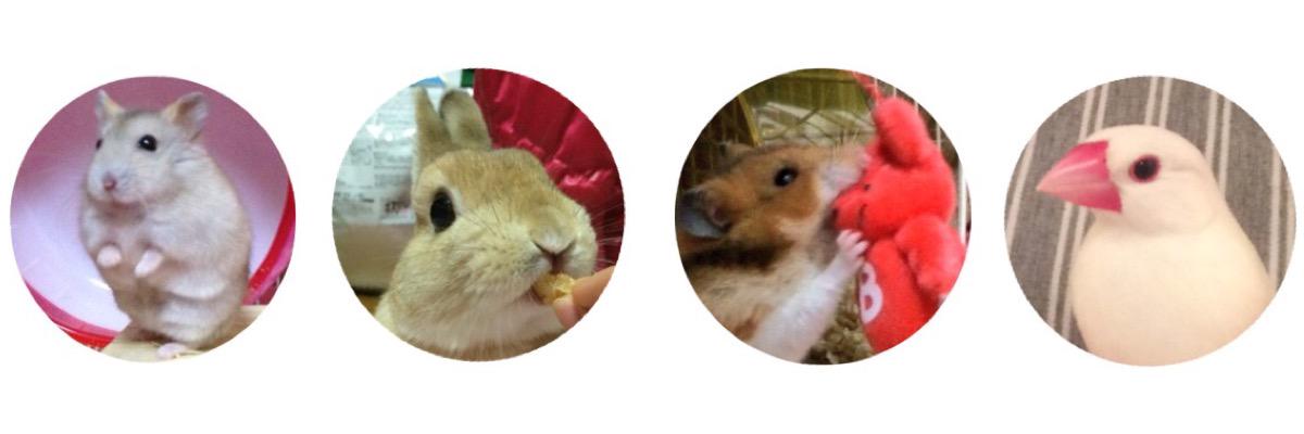 kulopico's profile banner image