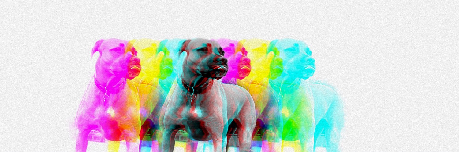 Benjamin_Rosas's profile banner image