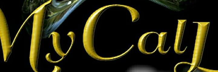 IDeEntertainer's profile banner image