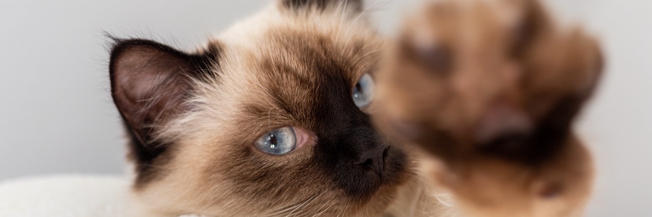 Nikistlakis's profile banner image
