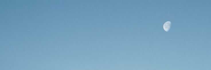 ptriechor's profile banner image