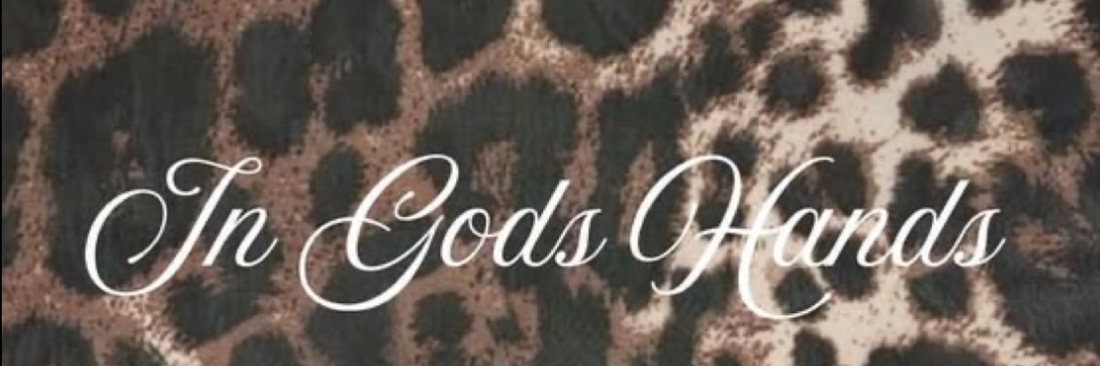 jaylizzlee's profile banner image