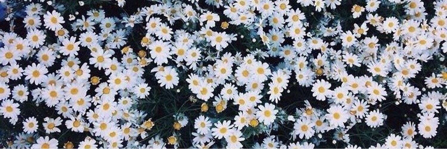 brooketta__94's profile banner image