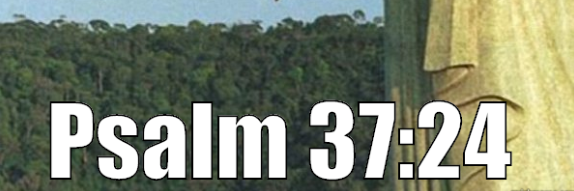 QTQT4's profile banner image