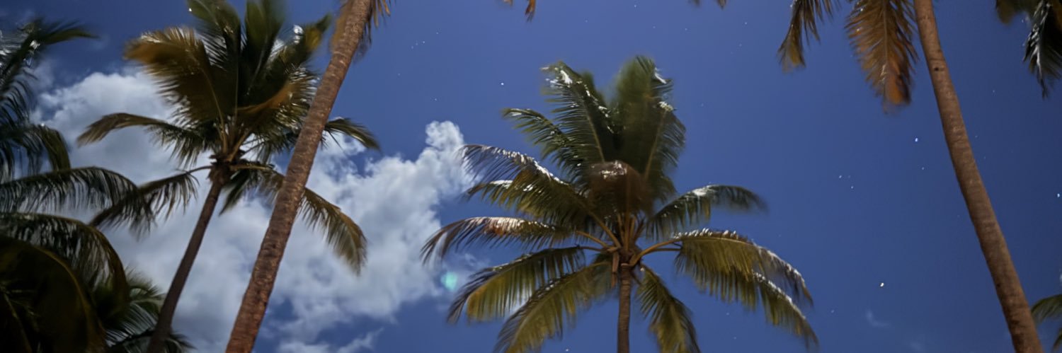 mama_ohdee's profile banner image