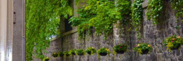 noordinaryshe Profile Banner