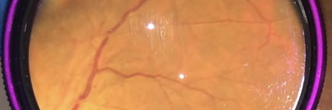MHymowitzMD's profile banner image