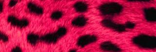 MUVVAH banner