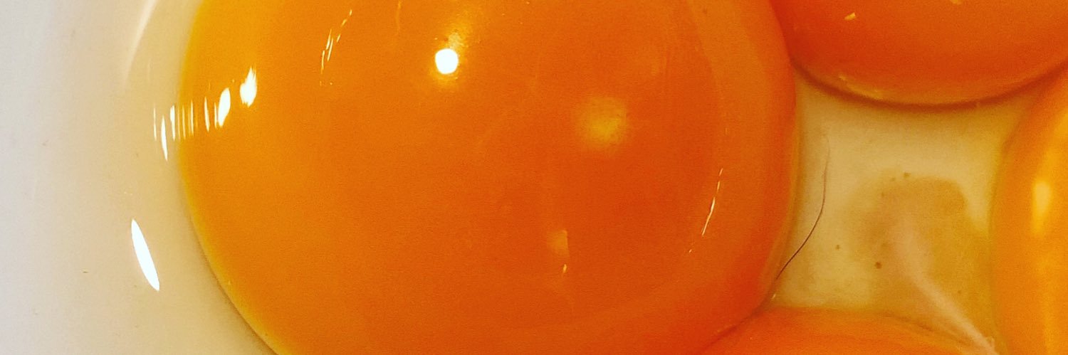 noecat78's profile banner image