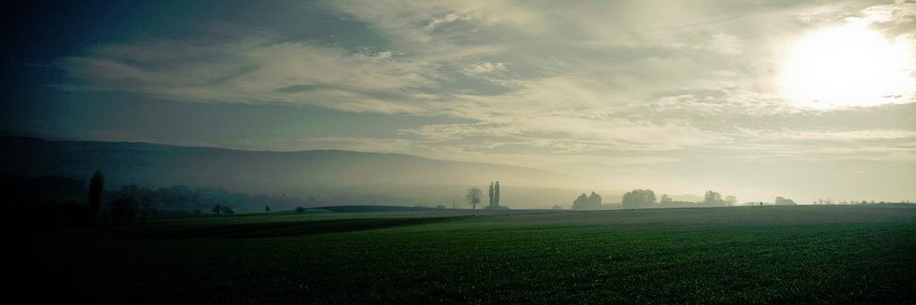ecobiosystems's profile banner image