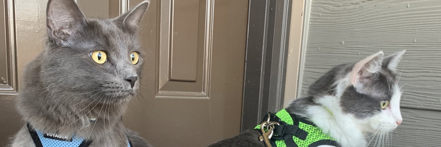 Jeremy_Kracy's profile banner image