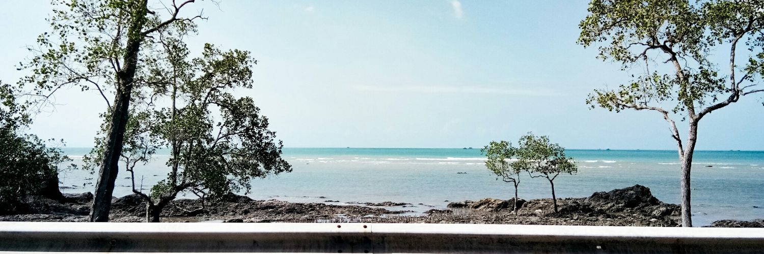 finnywidhya's profile banner image