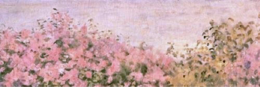 mangioilarry's profile banner image