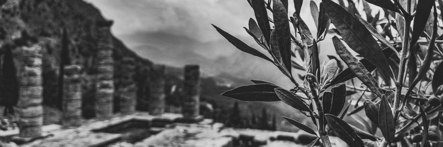 Artholic13's profile banner image