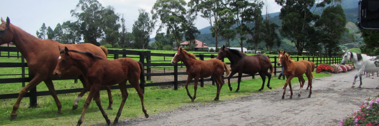 💙ᑎIKITᗩ ᖴEᗰᗰE💙 banner