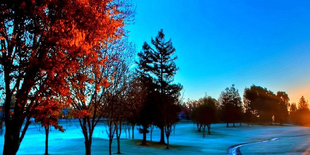 bleedingheartRS's profile banner image