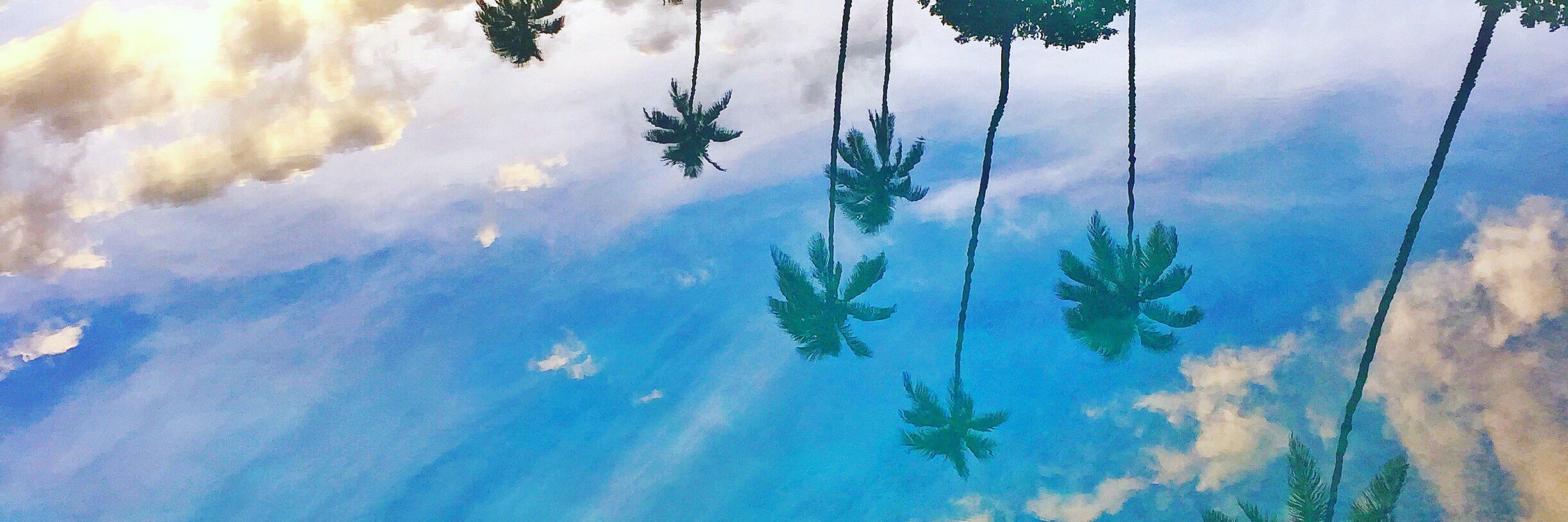 januarywellness's profile banner image