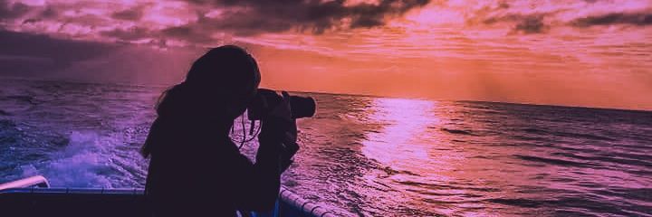 BizzareTalk's profile banner image