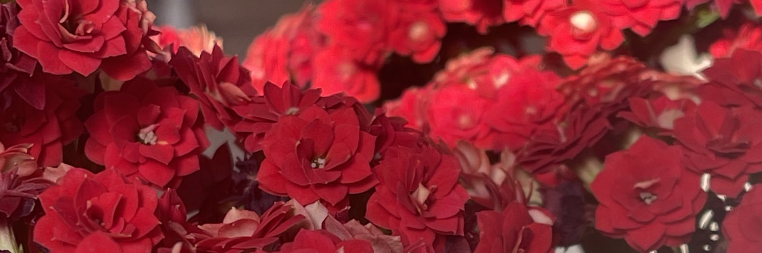 gabihbc's profile banner image