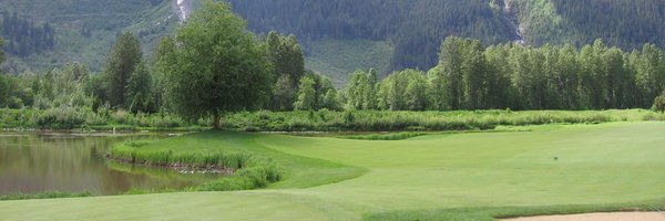 Beastinsight Profile Banner