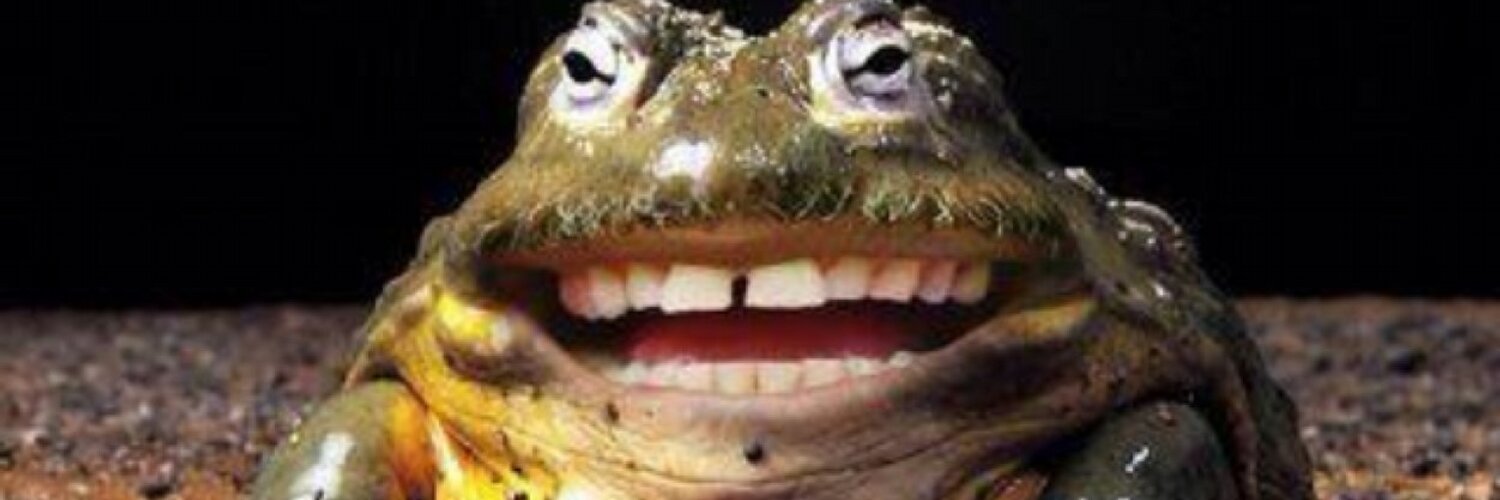 Animals Human Teeth (@smileyteeth10) | Twitter