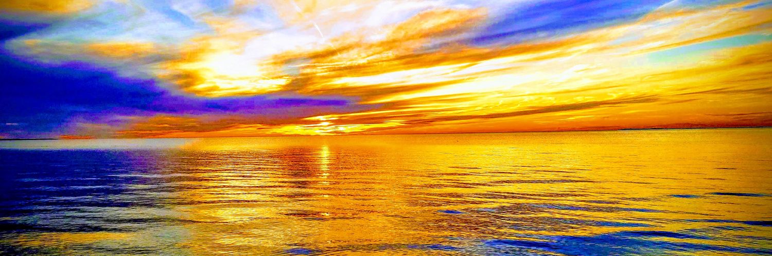 Kevin Kaye banner
