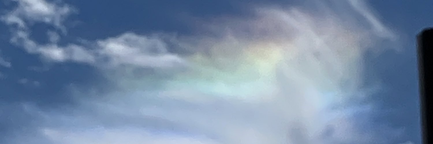 やまとむ banner