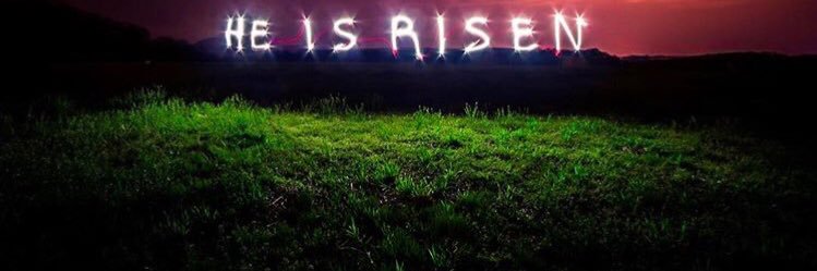 ste_aniee's profile banner image