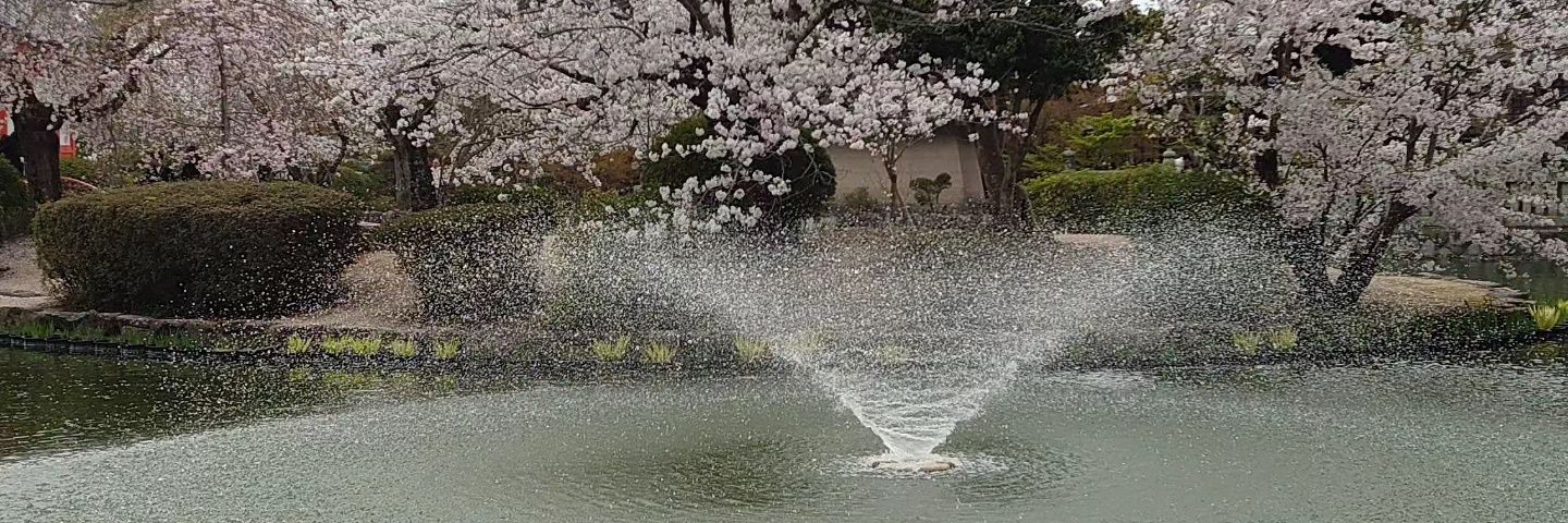 yocha3's profile banner image