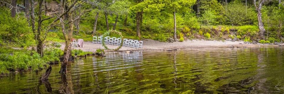 Elizabeth Higgins banner