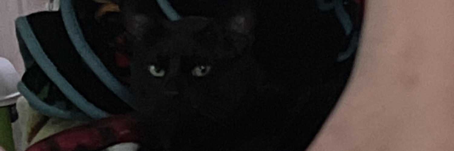 Homegenesis210's profile banner image