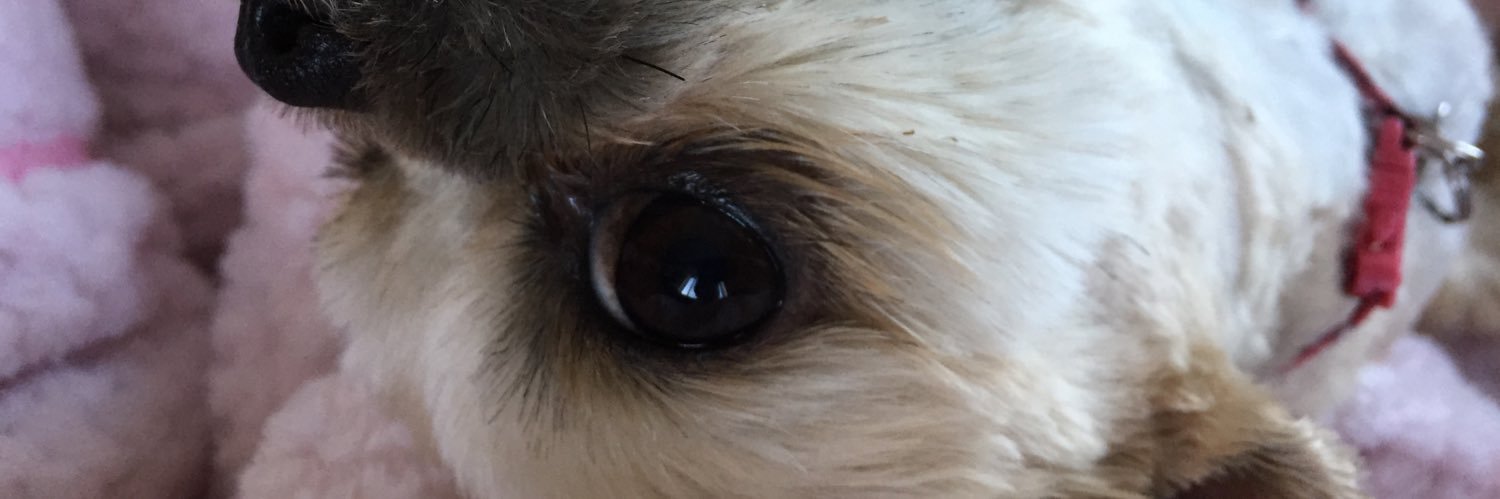 Reedabookbro's profile banner image